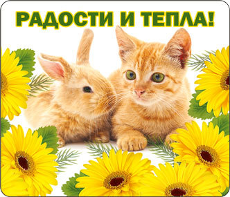 Магнит виниловый Радости и тепла