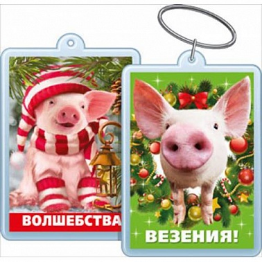 Магнит С поросенком НГ в ассортименте