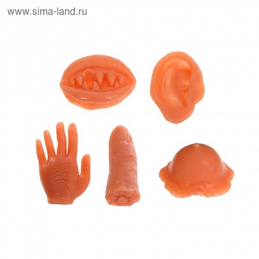 Липучка Части тела виды микс