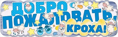 Плакат-полоска Добро пожаловать кроха! мальчик
