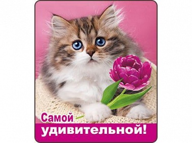 Магнит виниловый Самой удивительной
