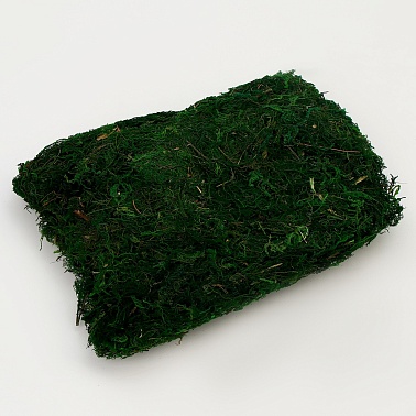 Декоративный мох зеленый 80гр