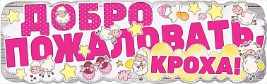 Плакат-полоска Добро пожаловать кроха! девочка