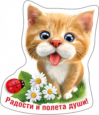 Магнит виниловый Радости и полета души