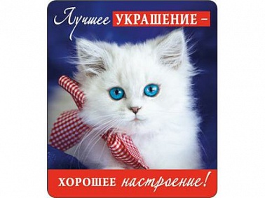 Магнит виниловый Лучшее украшение...