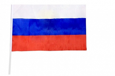 Флаг 30*45 со штоком 1 шт