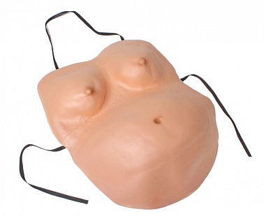 Торс Пузан 49*40 см