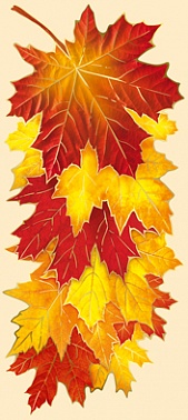 Ветка кленовых листьев