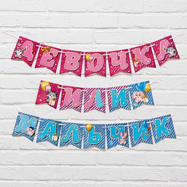 Гирлянда на ленте Мальчик или девочка? 240см