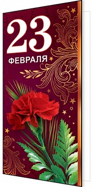 Серия 2-01-23029 открытка двойная