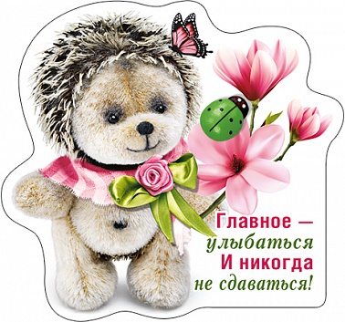 Магнит виниловый Главное улыбаться...
